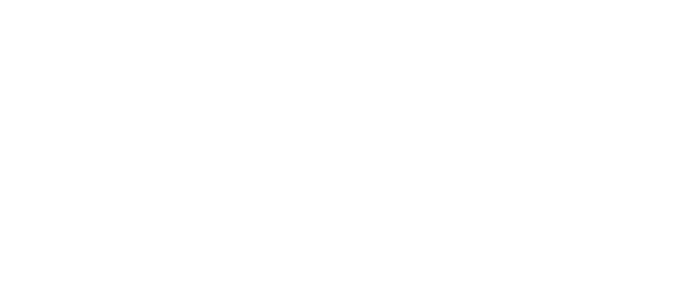 VM-International